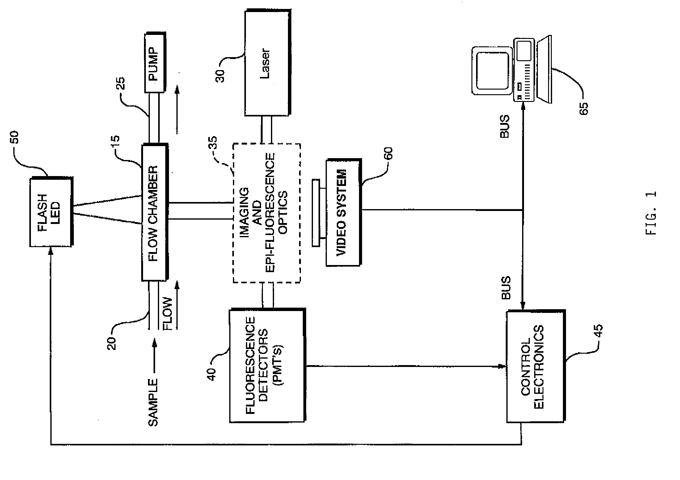 System and method for monitoring blue-green algae in a fluid