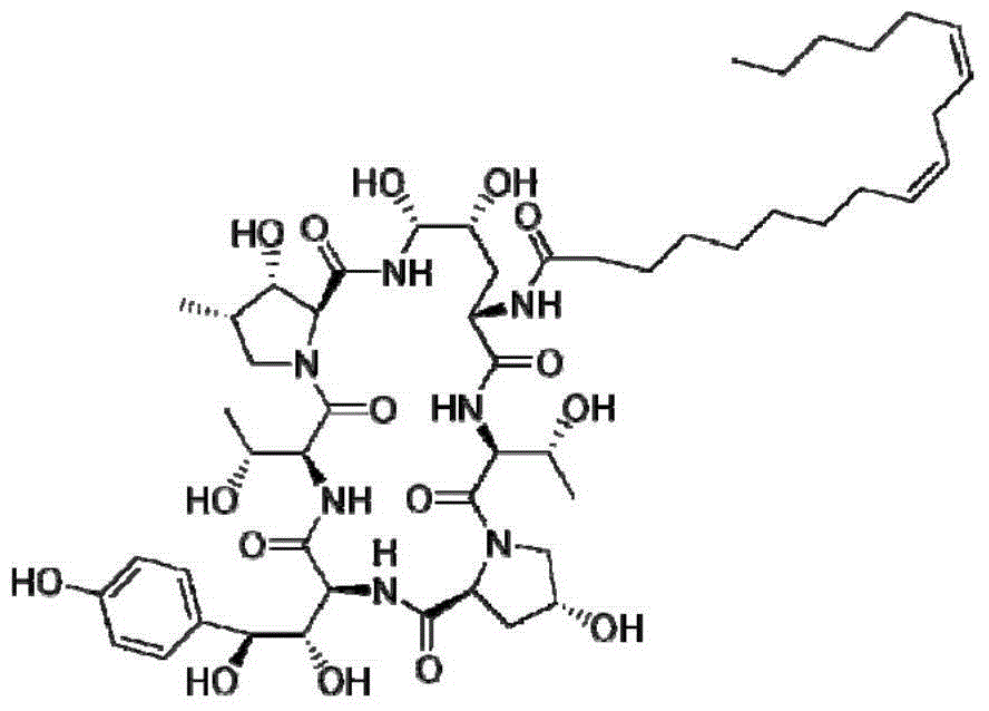 Method and bacterial strain for fermentation preparation of Echinocandin B