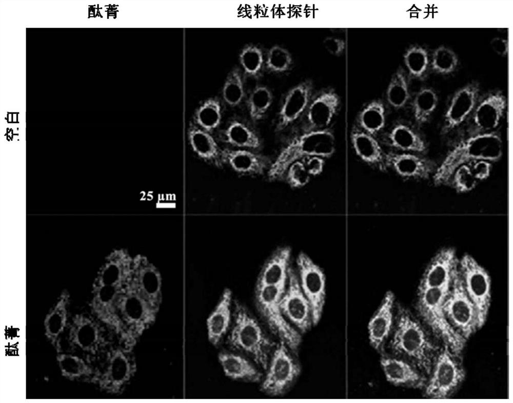 Water-soluble mitochondria-targeted silicon phthalocyanine axially substituted by ethyoxyl bromopropyl imidazole and preparation method and application thereof