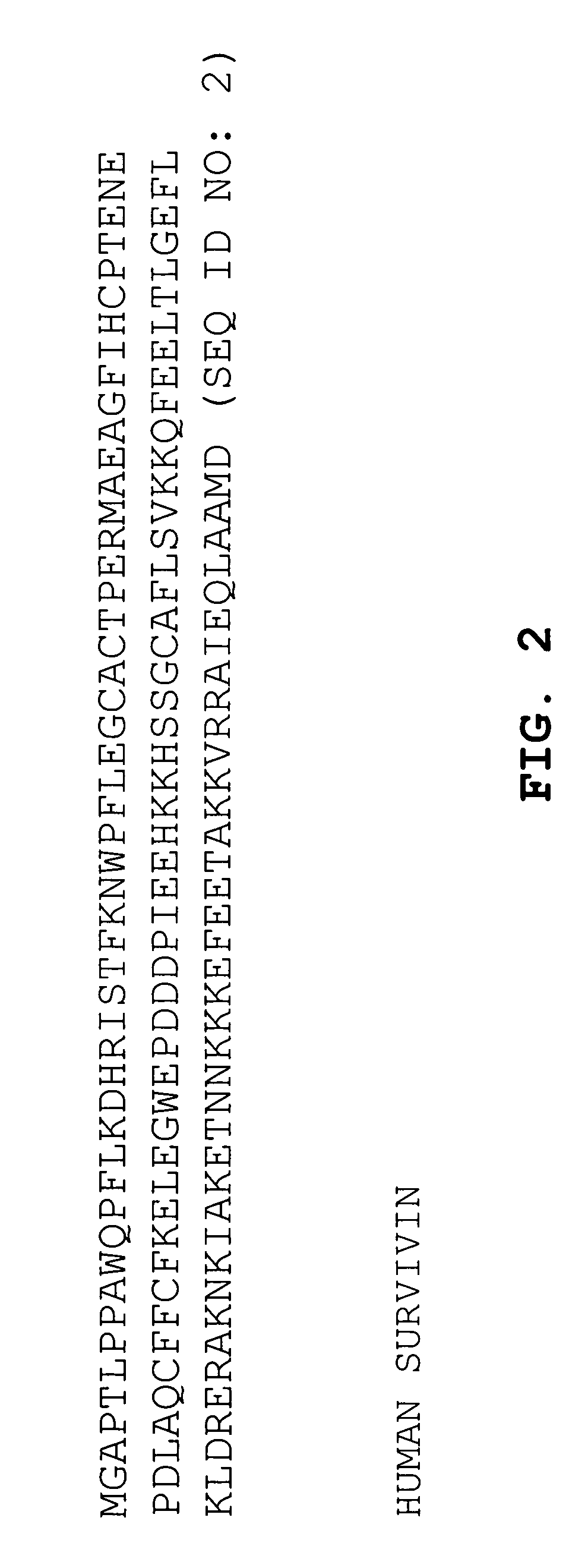 DNA vaccines against tumor growth and methods of use thereof