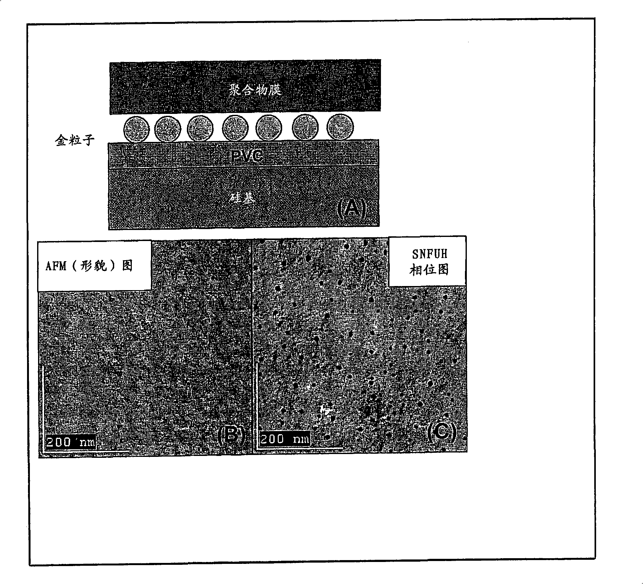 Image processing apparatus, computer program product and image processing process