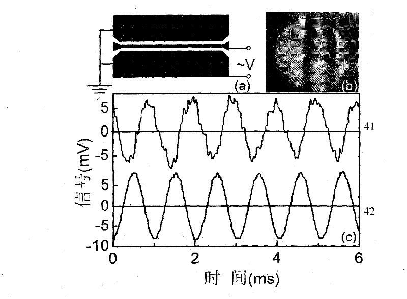 Electrooptical probe based on fluid electrooptical materials, and method of using electrooptical probe to detect electric field