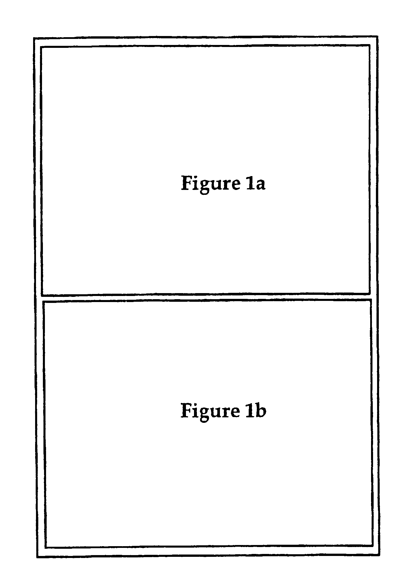 Genetic sequences having methyltransferase activity and uses therefor