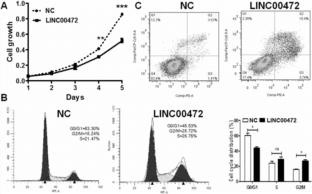 Expression vector of long-chain non-coding RNALINC00472, tumor suppression reagent and application thereof