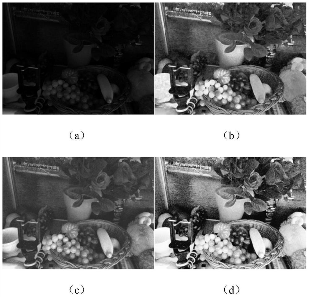 Visual perception method and system based on biological neural network and stochastic resonance