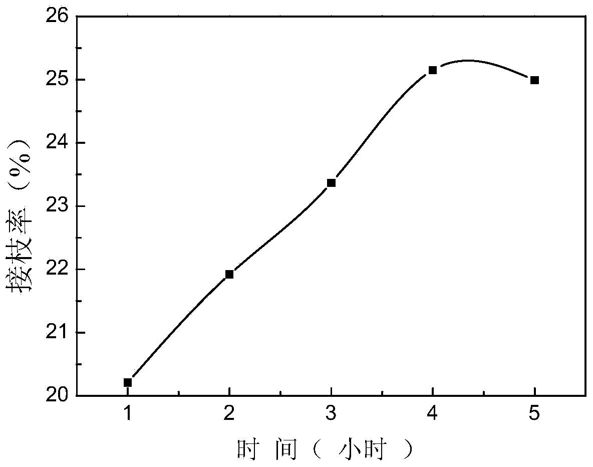 Method for preparing coal-based composite chelating agent from triethylene tetramine as raw material