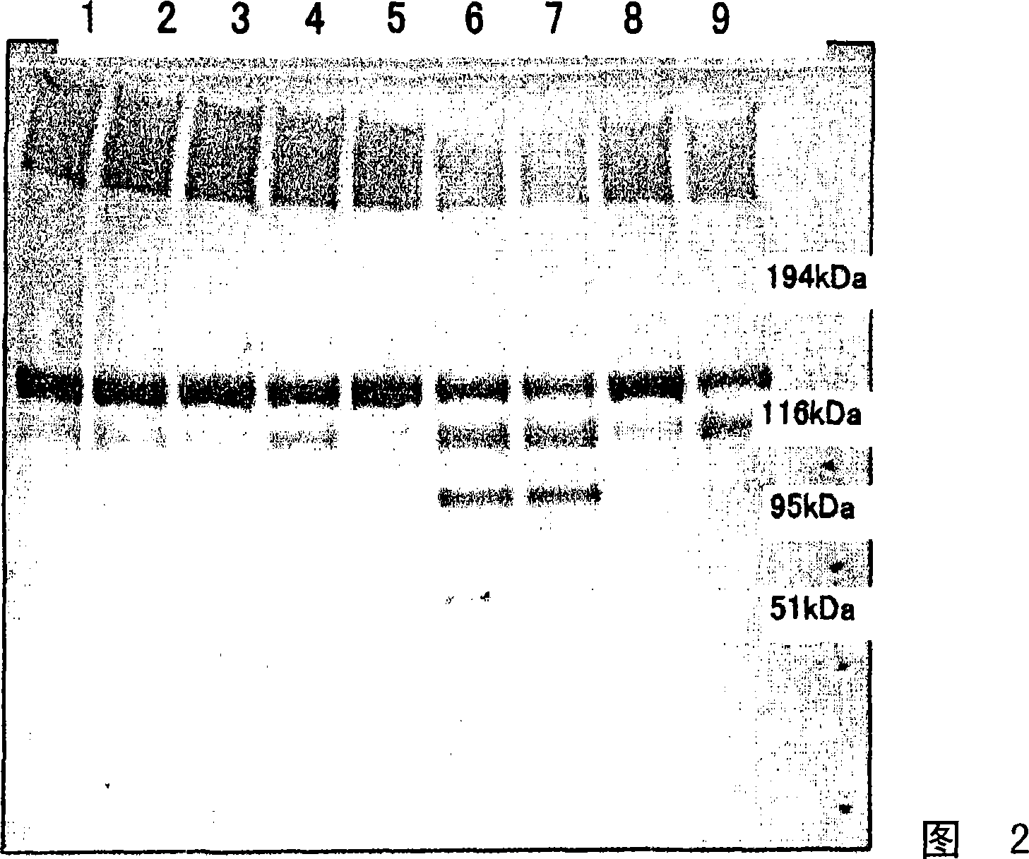 Method of detecting platelet thrombosis or organ injury