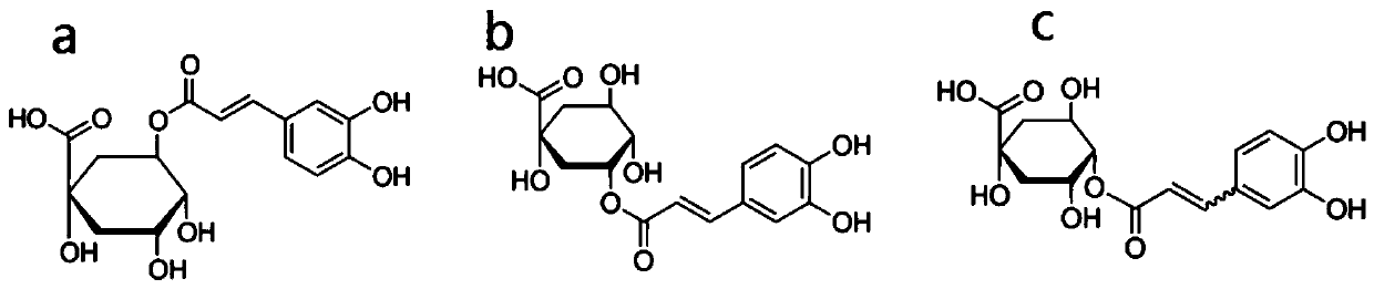 Application of chlorogenic acid, isomer or pharmaceutically acceptable salt in preparation of tumor chemotherapy sensitization drugs