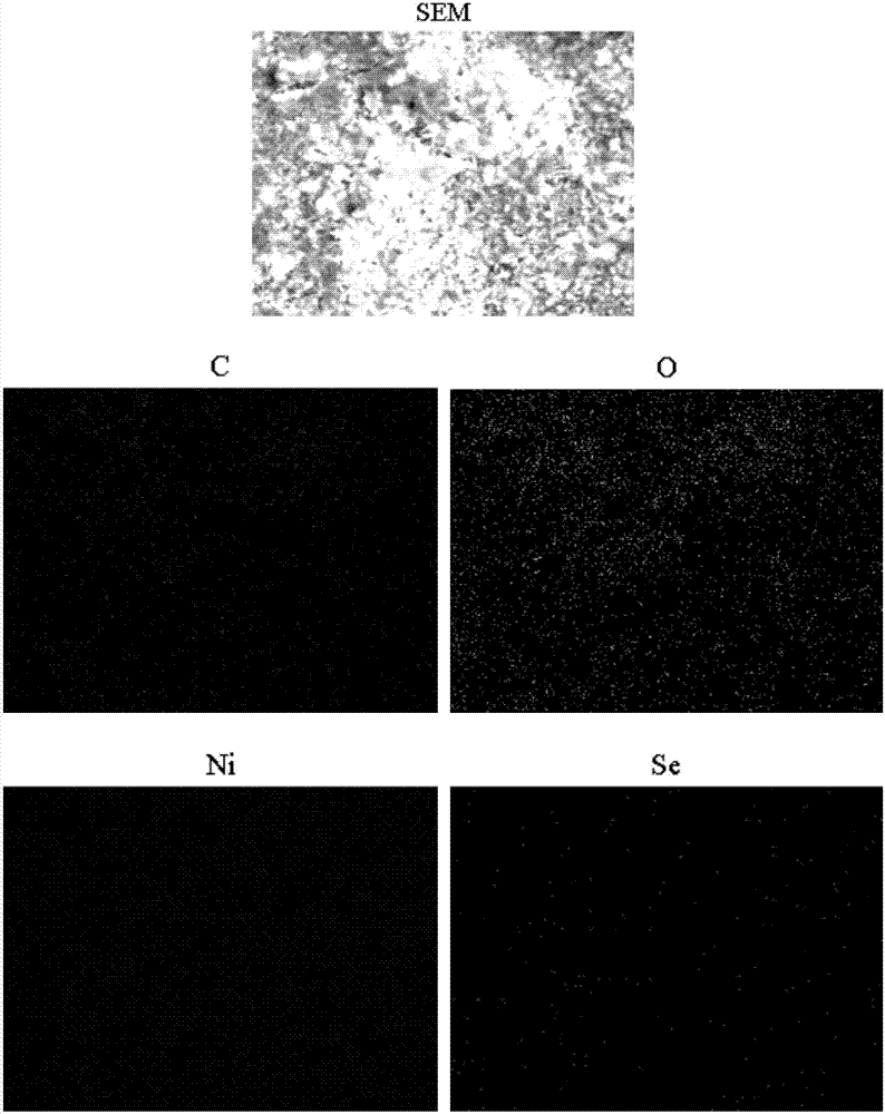 Electroplating selenium plating solution, and lithium-selenium battery and positive electrode material thereof