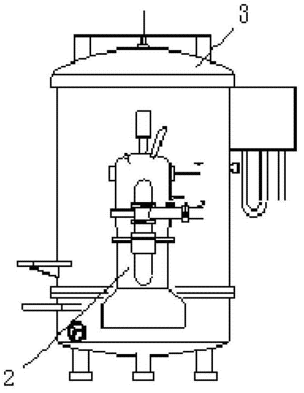 Vacuum pulse hydrogen annealing apparatus and method for electric pure iron