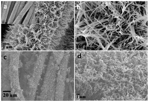 Preparation method and applications of self-supported carbon cloth loaded cobaltous selenide nickel nanowires