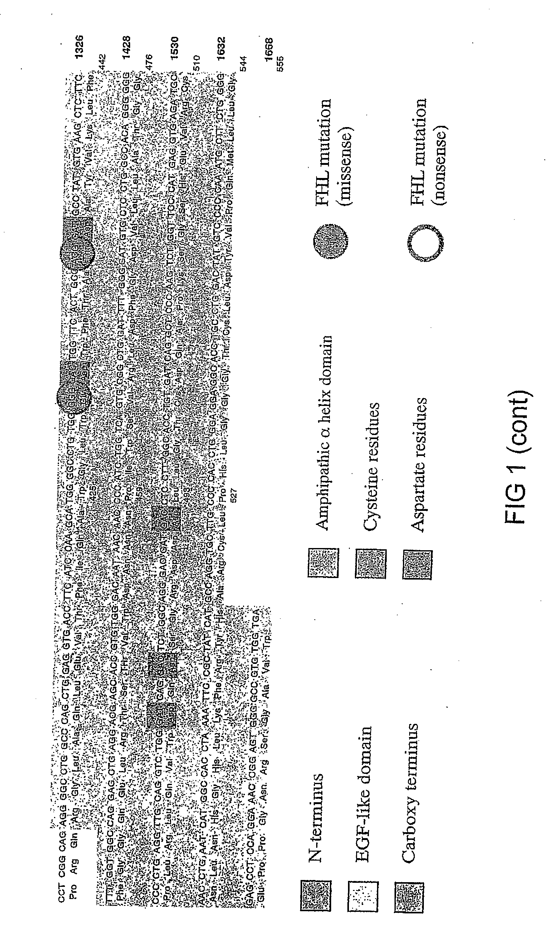 Recombinant perforin, expression and uses thereof