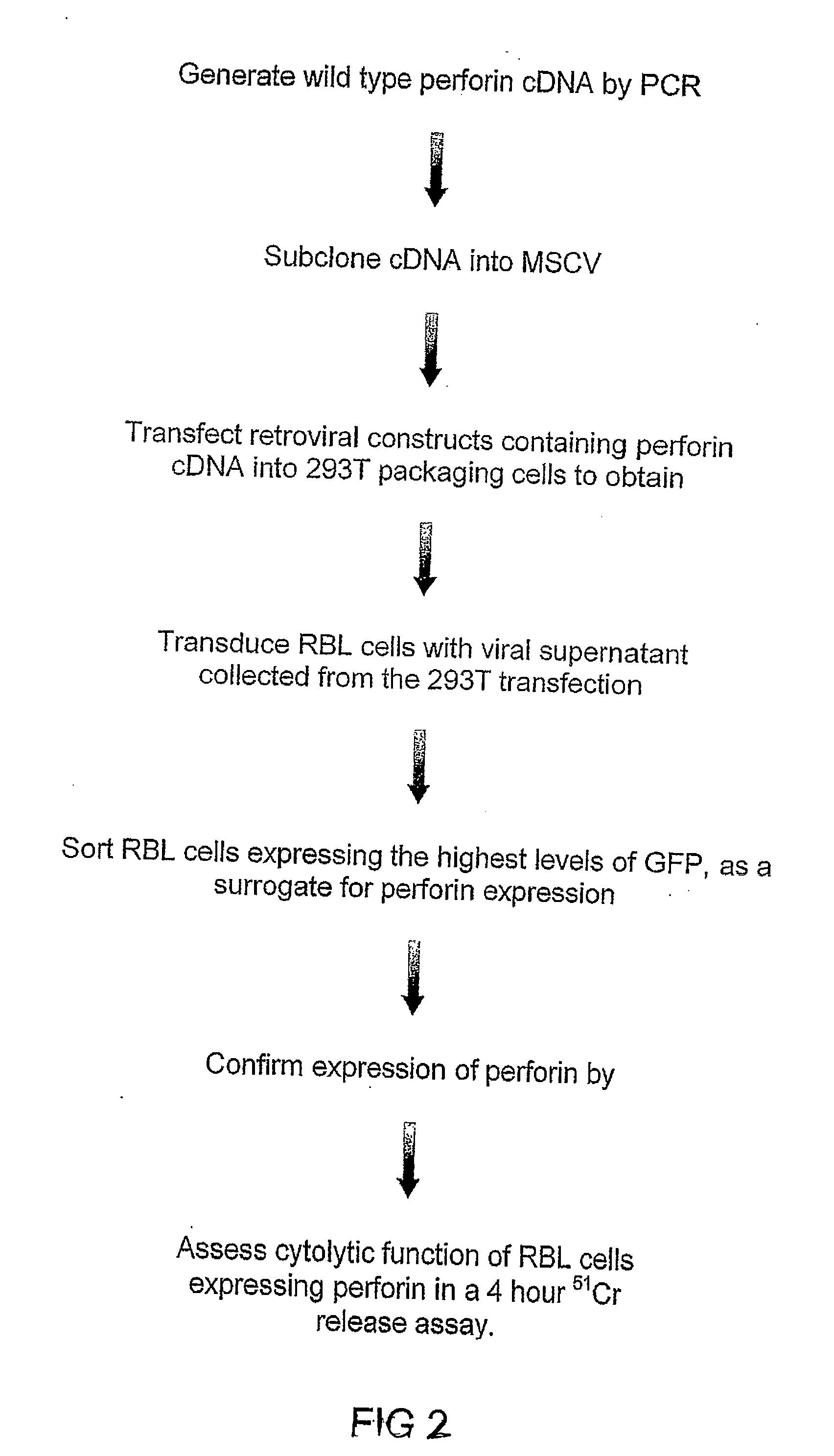 Recombinant perforin, expression and uses thereof