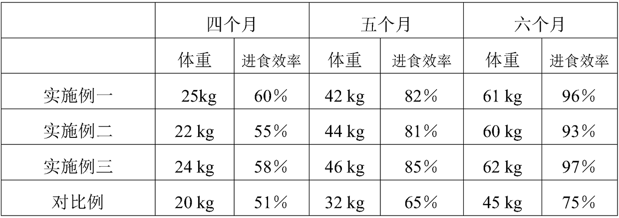 Method for fattening sheep with saline festuca arundinacea feed