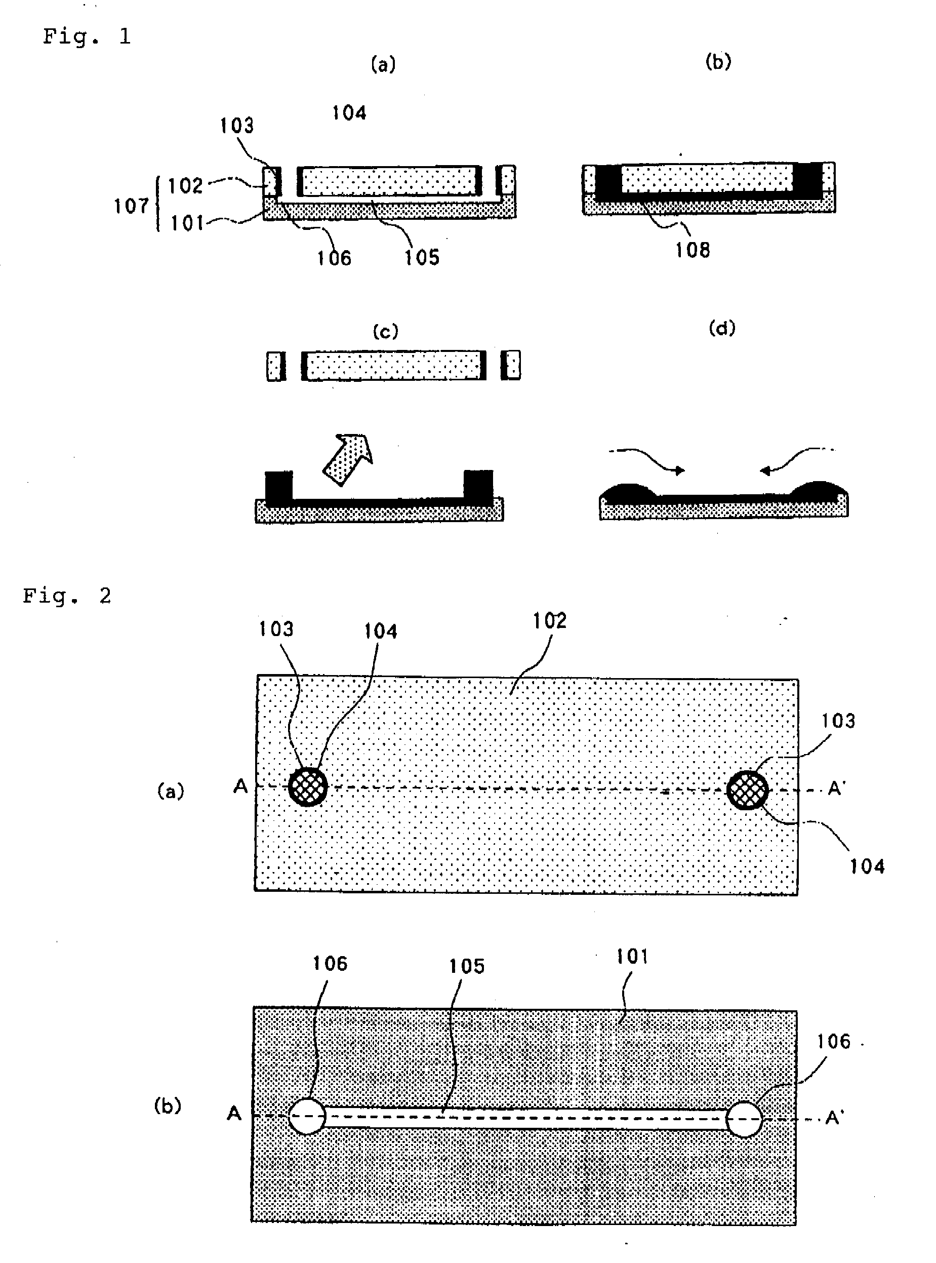 Microchip and analysis method using the microchip