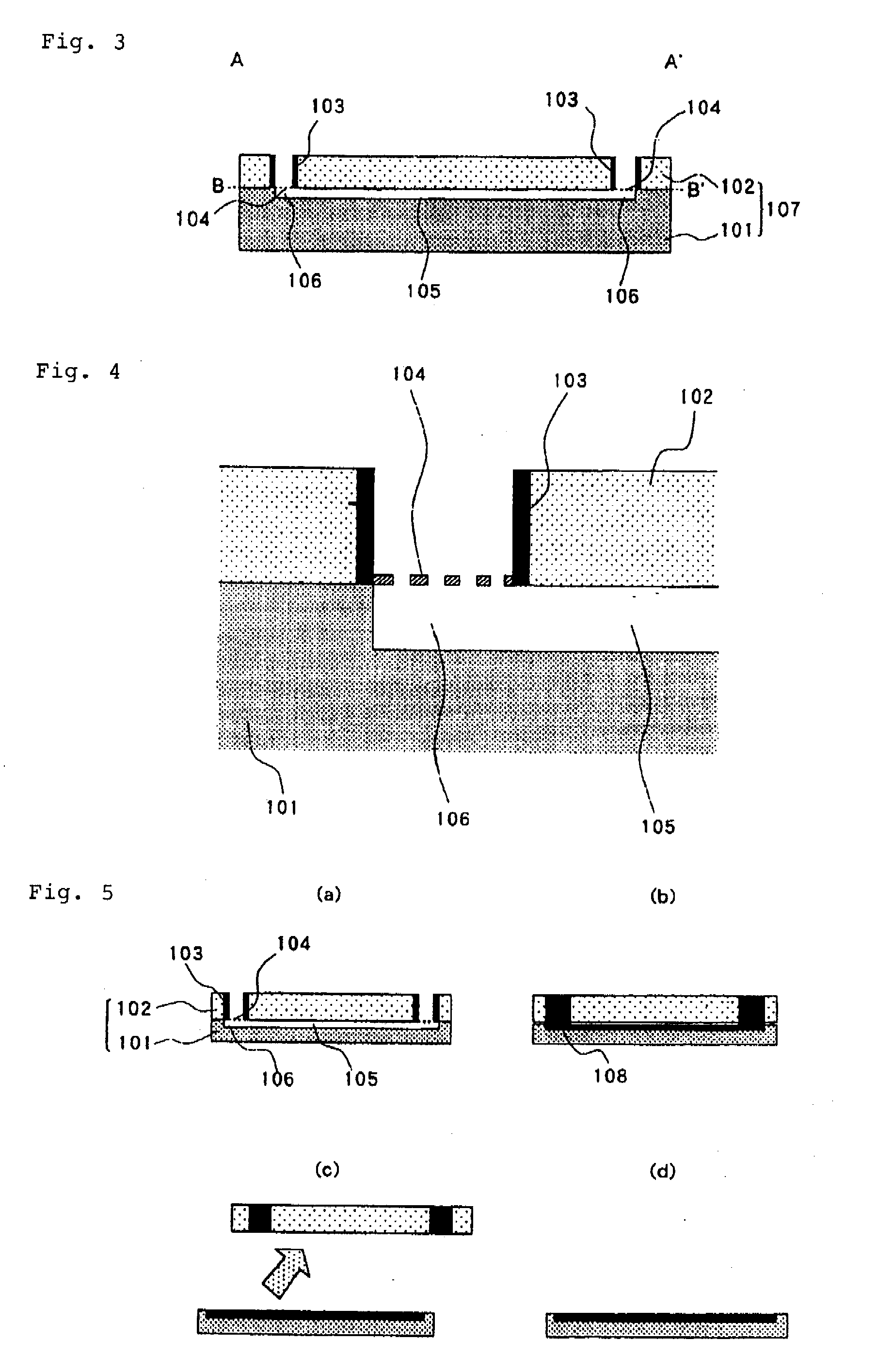 Microchip and analysis method using the microchip