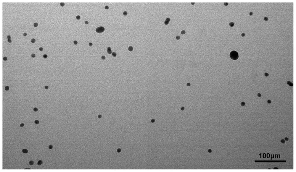 Application of Colloidal Gold in Preparation of Artificial Cerebrospinal Fluid Reagent