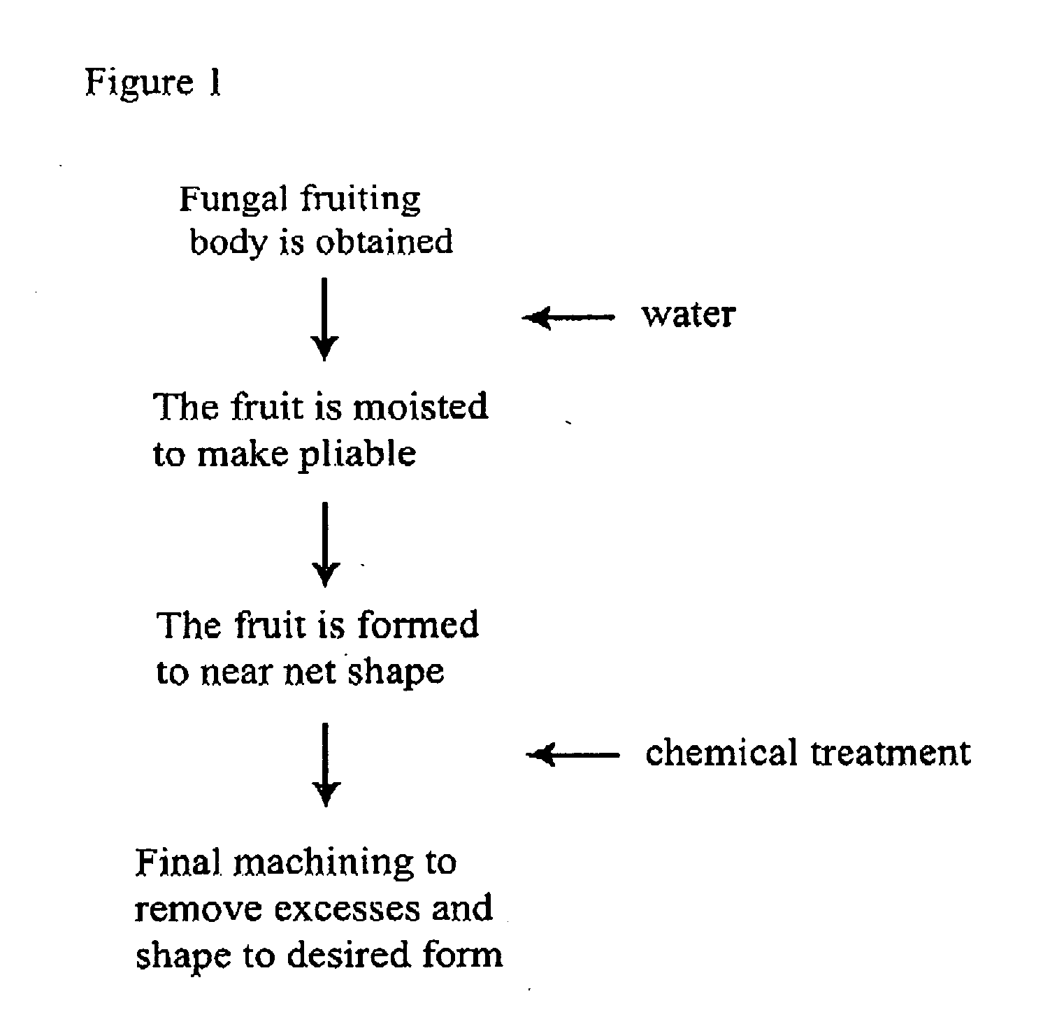 Method for producing rapidly renewable chitinous material using fungal fruiting bodies and product made thereby