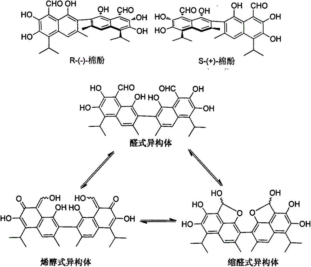 Hemigossypol derivative, vergosin derivative, preparation of hemigossypol derivative and vergosin derivative and application to pesticides
