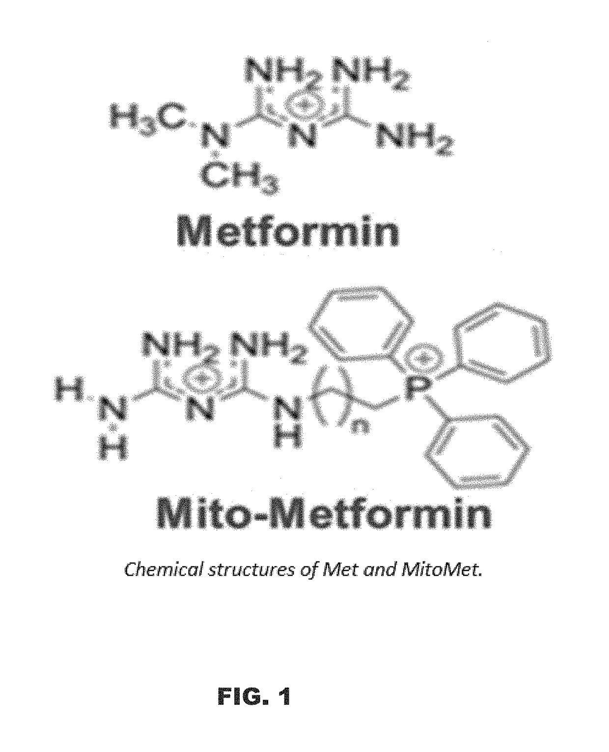 Neuroprotection by mitochondria-targeted metformin