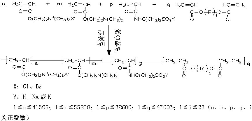 Water-soluble organic amphoteric copolymeric flocculant and preparation method thereof