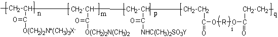 Water-soluble organic amphoteric copolymeric flocculant and preparation method thereof