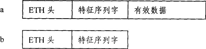 Method and device for acquiring digital signal processor (DSP) memory