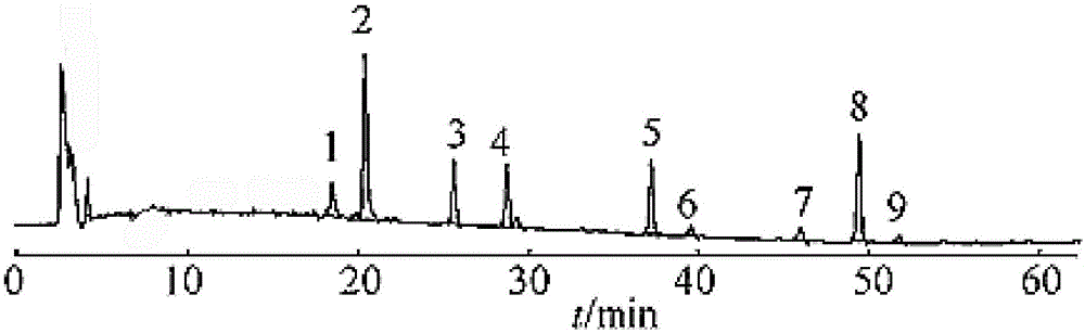 Cardamom extract, preparation containing cardamom extract, and application of cardamom extract in treatment of obesity