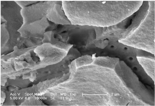 A kind of diatomite composite material and preparation method thereof