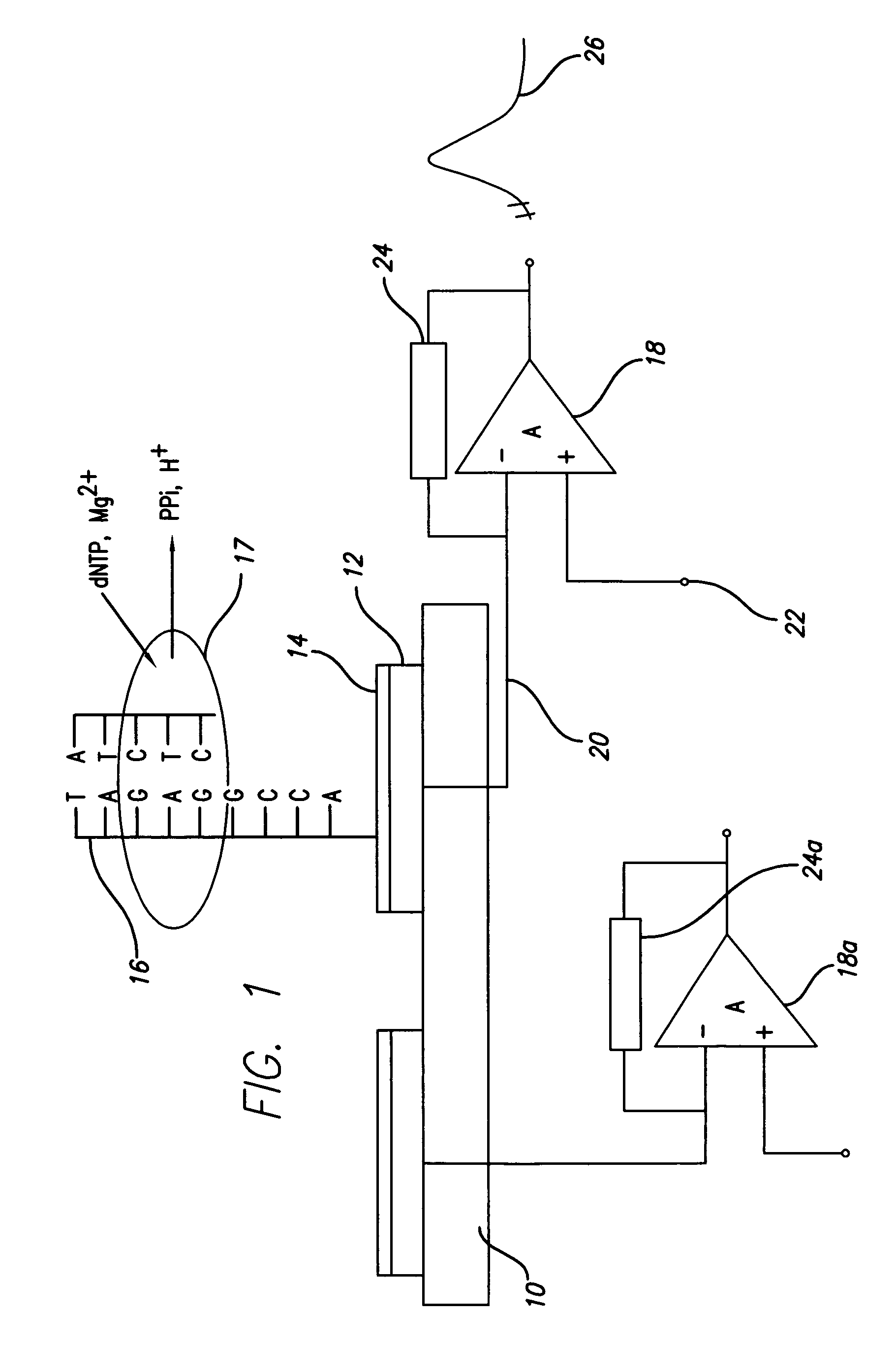Charge perturbation detection system for DNA and other molecules
