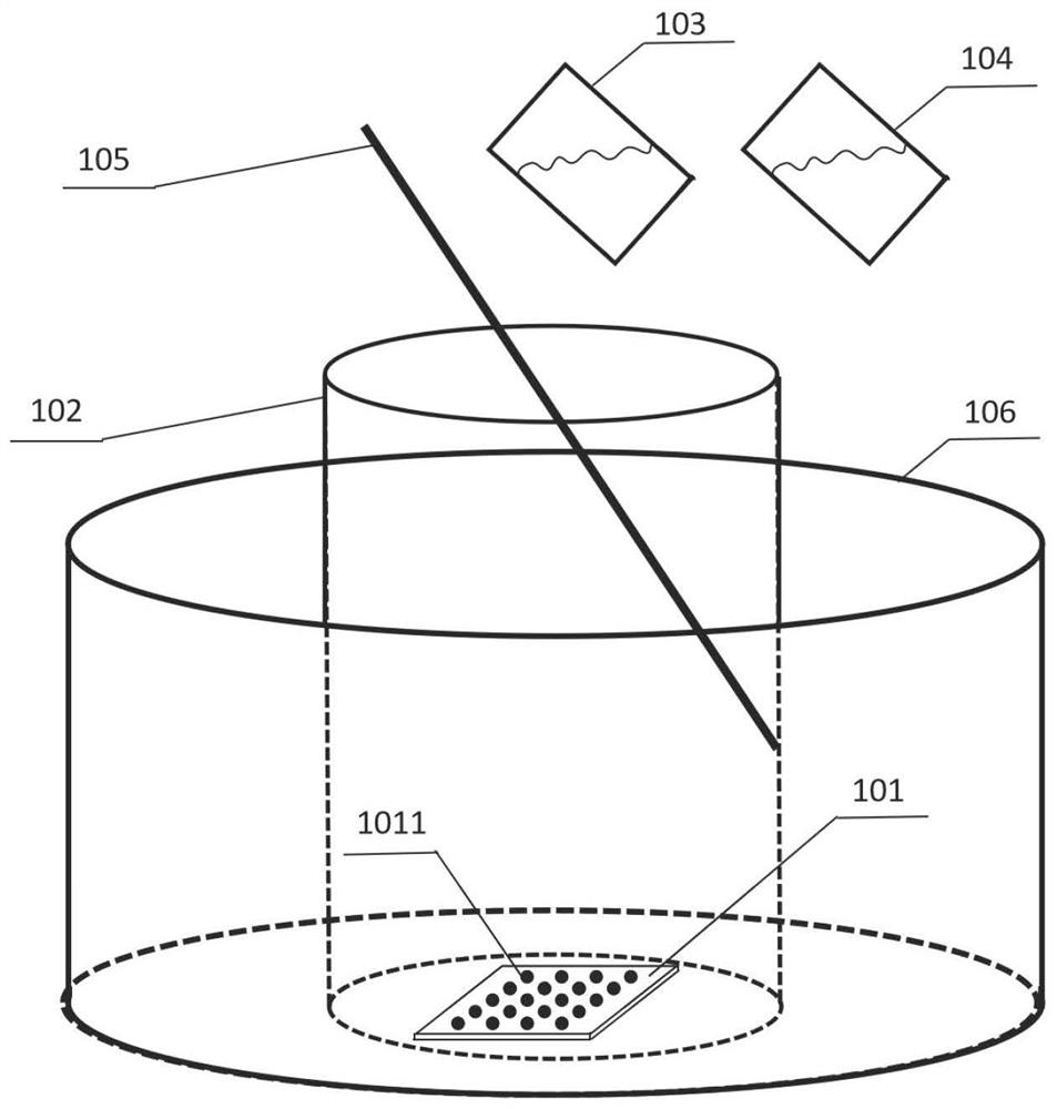 Method for modifying sialic acid on surface of gold nano array