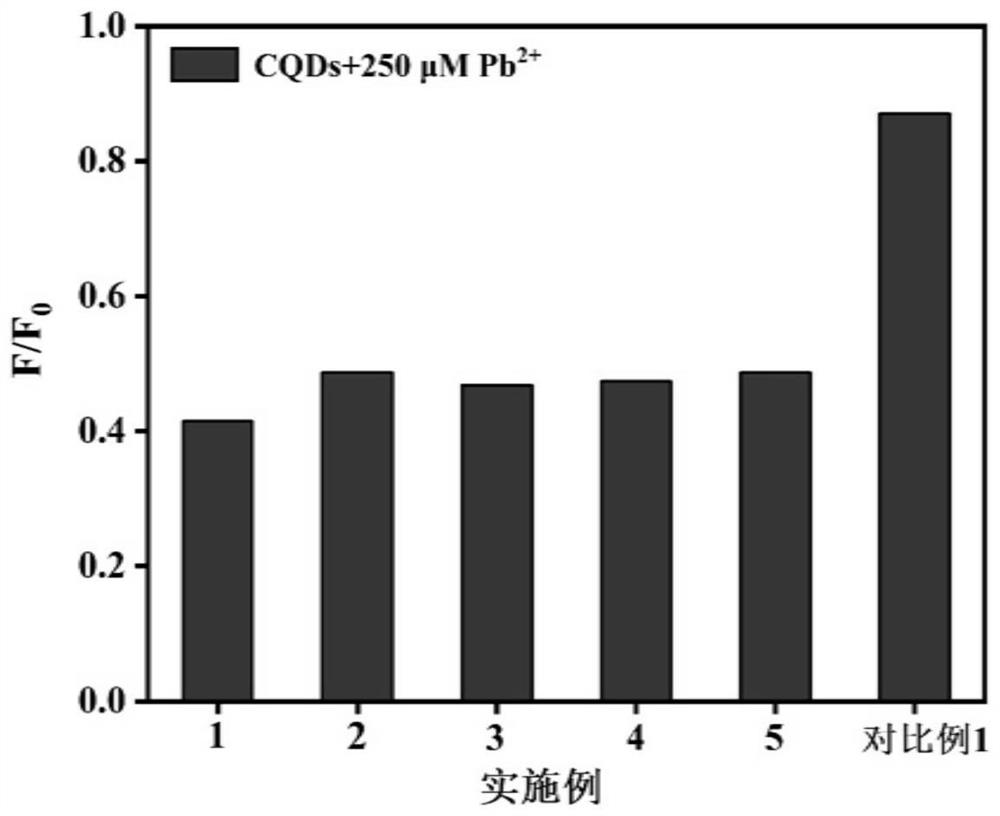 Novel carbon material based on coffee beans and method for detecting lead ions and PPi