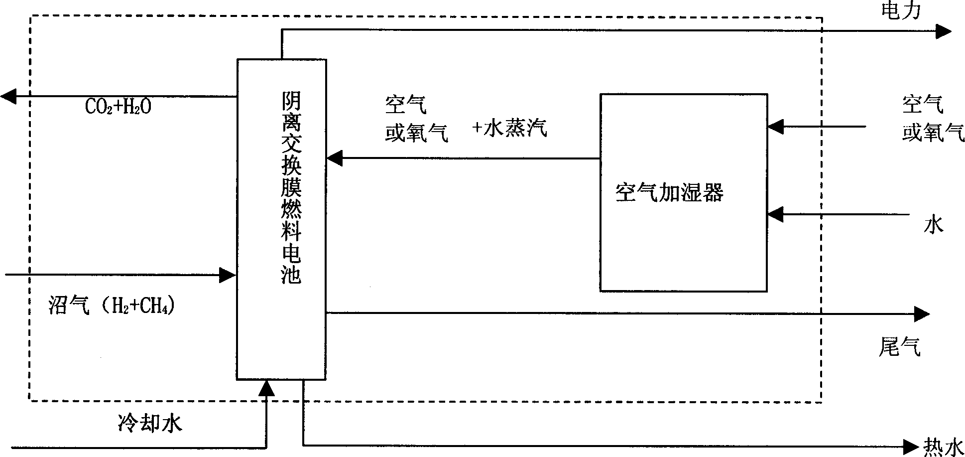 Circulation utilization system for biomass as resources