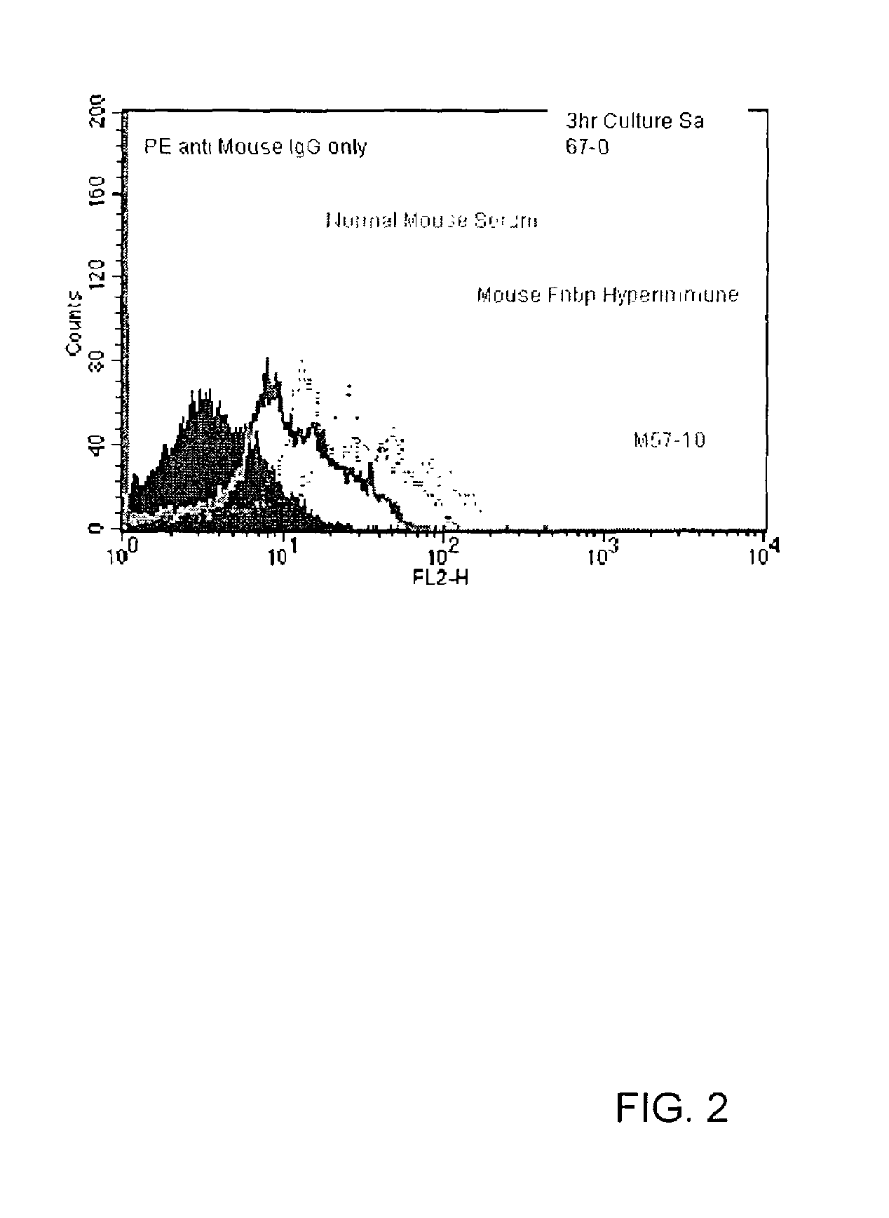 Monoclonal antibodies to the fibronectin binding protein and method of use in treating or preventing infections