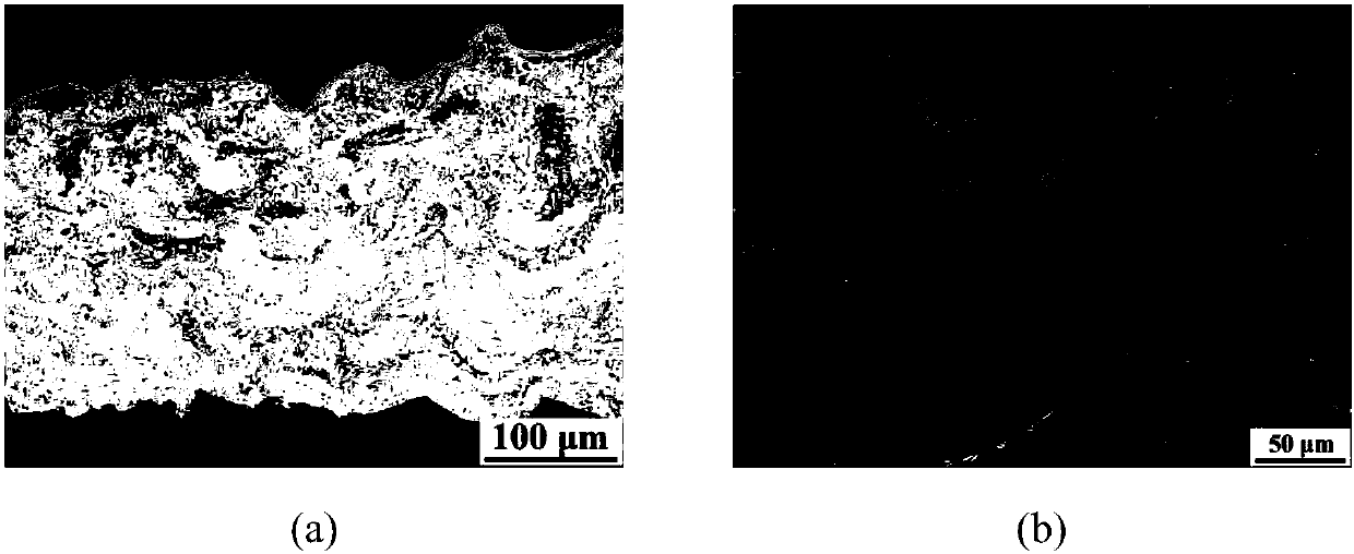 Corrosion-resistant fully dense thermal spraying metal alloy coating and preparation method thereof
