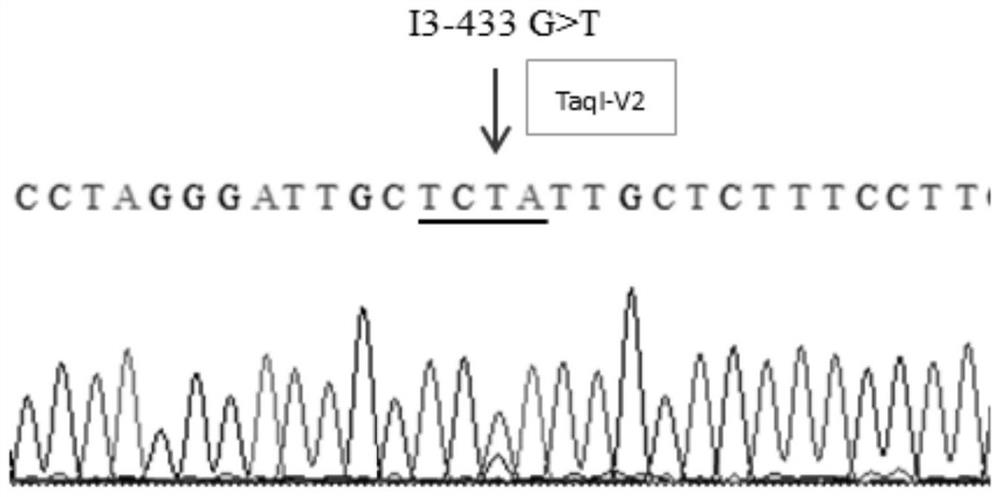 Reagent for detecting single nucleotide polymorphism (SNP) locus genotype significantly related to Chinese Simmental beef quality traits