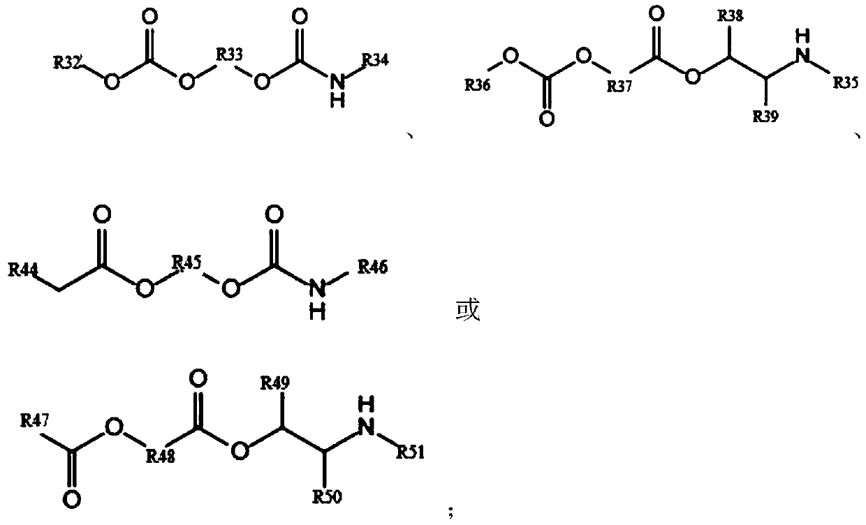 Polymer electrolyte and lithium ion battery containing polymer electrolyte