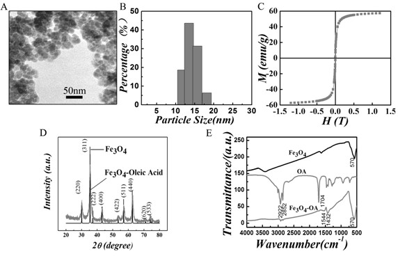 Tumor-targeted magnetic hydrogel nanoscale medicine delivery system and construction method and application thereof