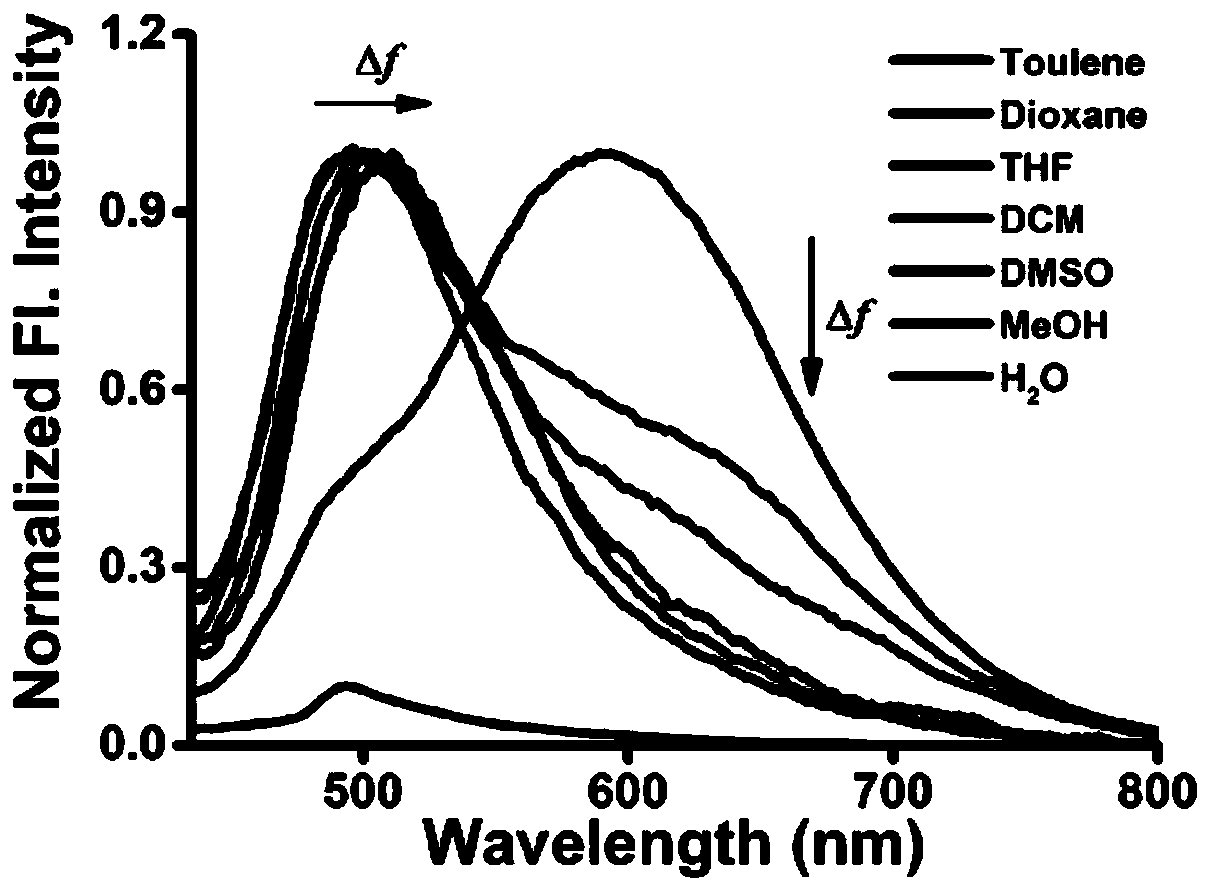 Fluorescent probe for detecting polarity of lipid droplet