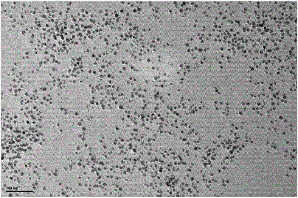 Nanometal particles and preparation method thereof