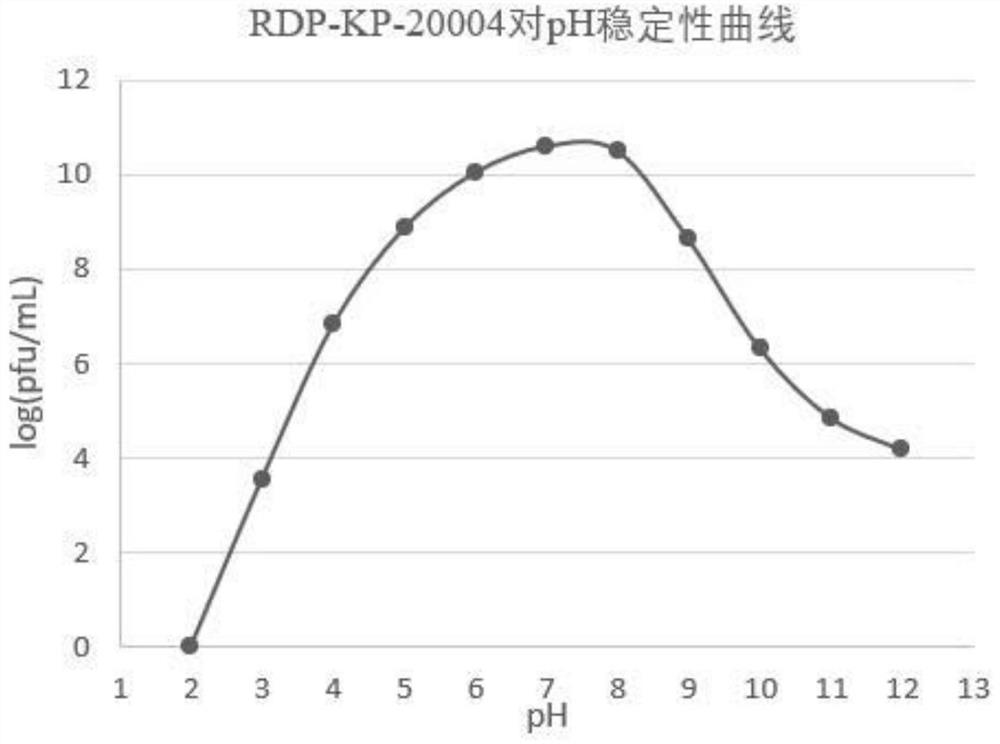 Drug-resistant klebsiella pneumoniae phage RDP-KP-20004 and application of drug-resistant klebsiella pneumoniae phage RDP-KP-20004