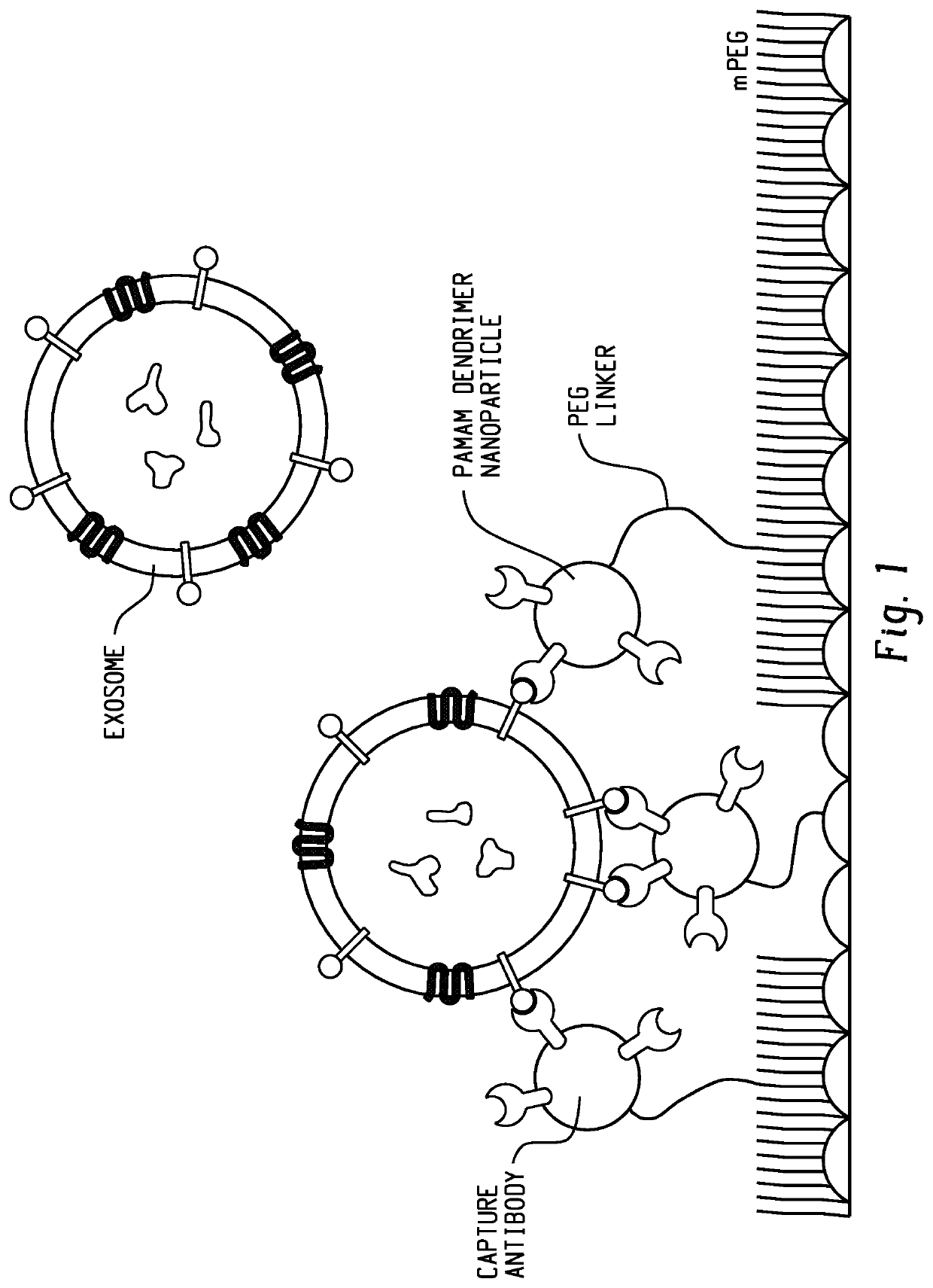 Nanoengineered surfaces for cancer biomarker capture