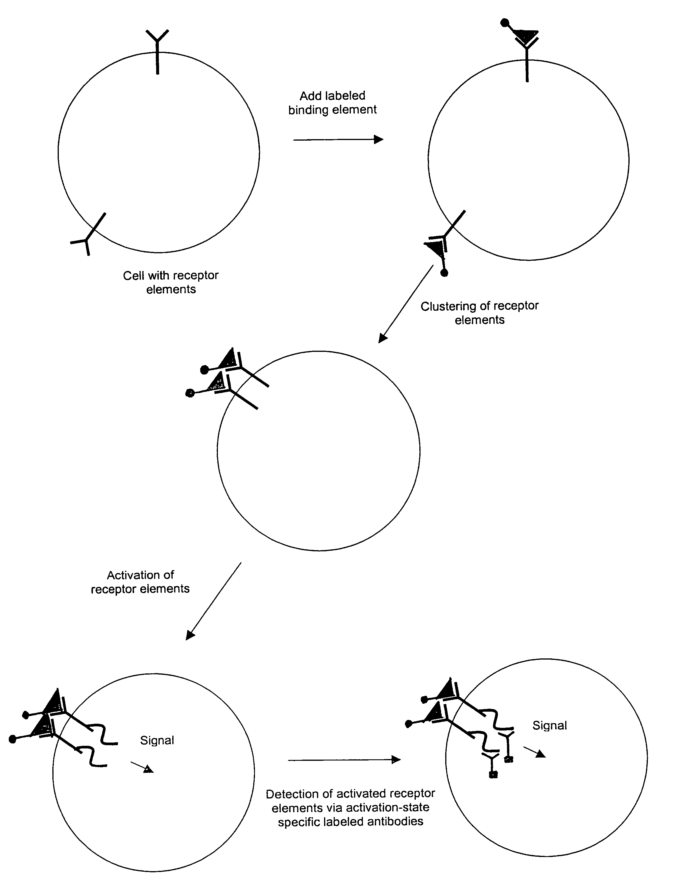 Methods and compositions for detecting receptor-ligand interactions in single cells