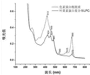 Extracting and purifying method of chlorella lutein protein complex