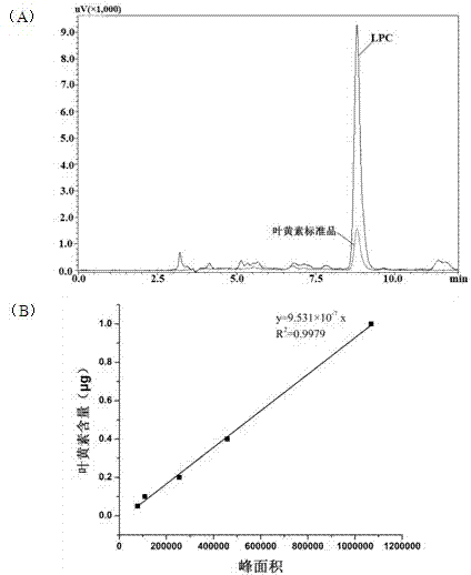 Extracting and purifying method of chlorella lutein protein complex