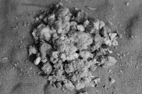 Moldable autogenous bone mud and preparation method thereof