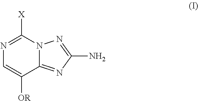 Process for the preparation of 5-substituted-8-alkoxy[1,2,4]triazolo[1,5-c]pyrimidin-2-amines