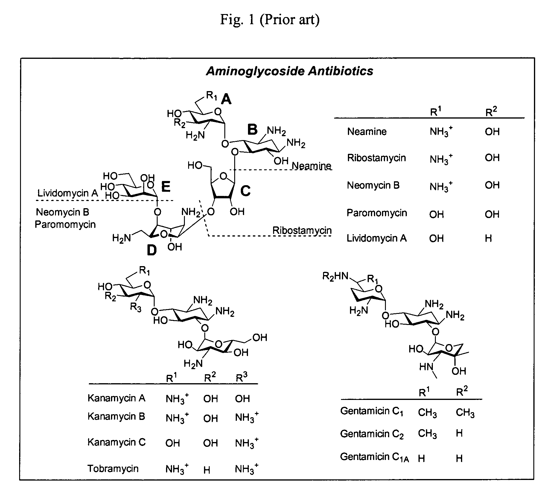 Bifunctional antibiotics for targeting rRNA and resistance-causing enzymes and for inhibition of anthrax lethal factor