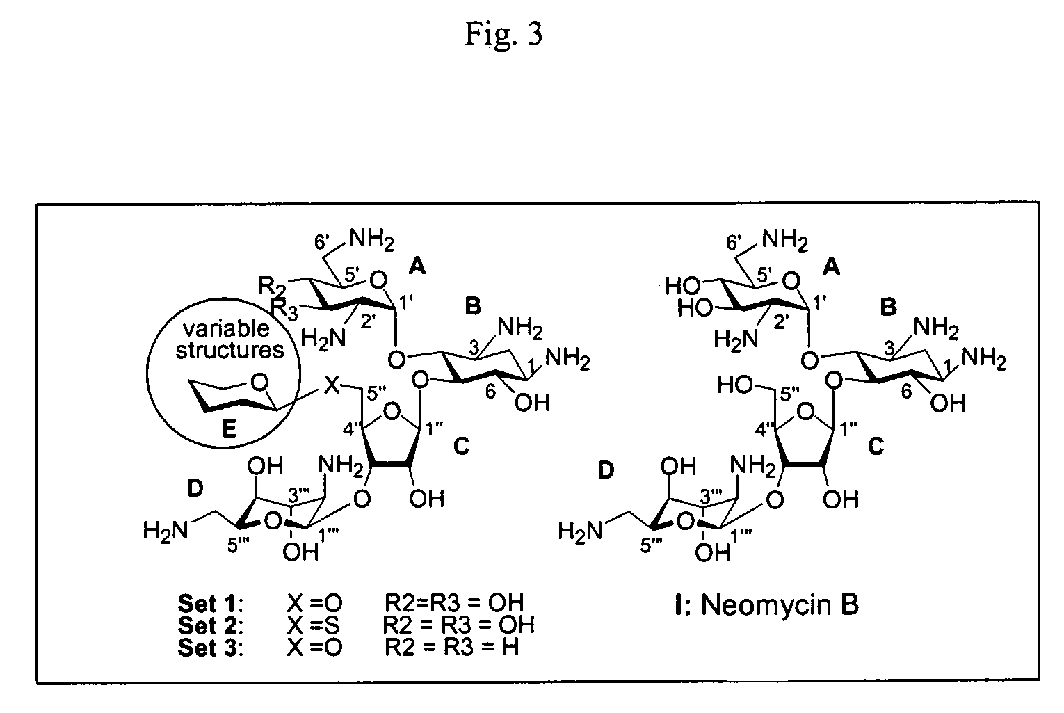 Bifunctional antibiotics for targeting rRNA and resistance-causing enzymes and for inhibition of anthrax lethal factor