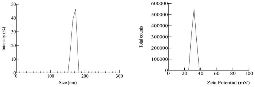 Method for reducing TSWV (Total Standard Wave Virus) virus carrying amount in adult thrips